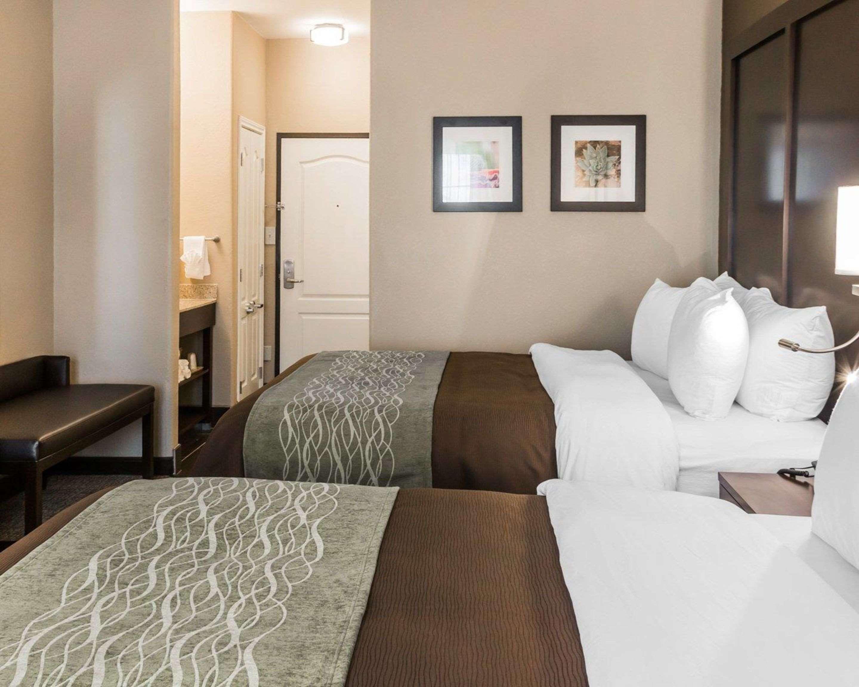 Comfort Inn & Suites Pharr/Mcallen מראה חיצוני תמונה