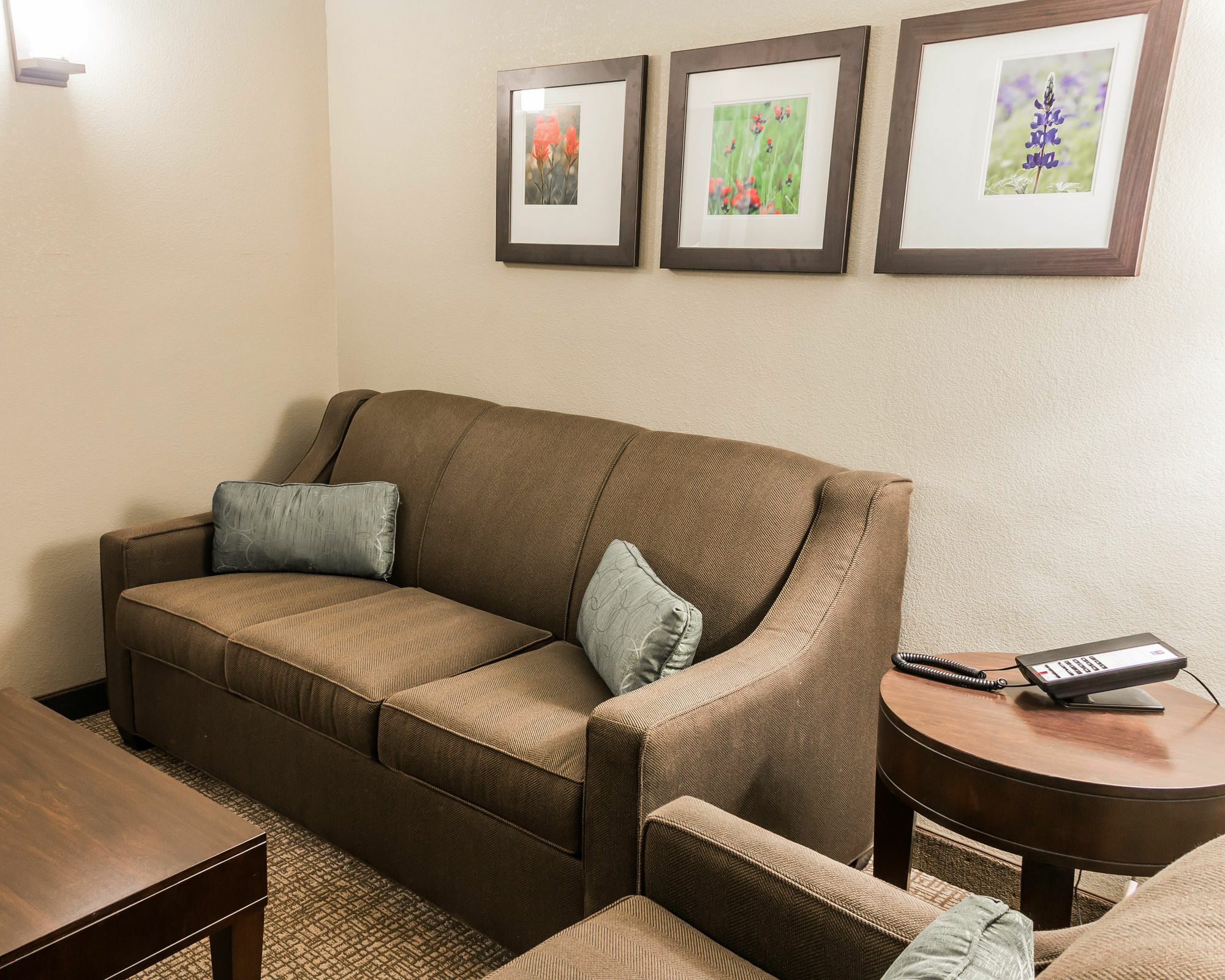 Comfort Inn & Suites Pharr/Mcallen מראה חיצוני תמונה